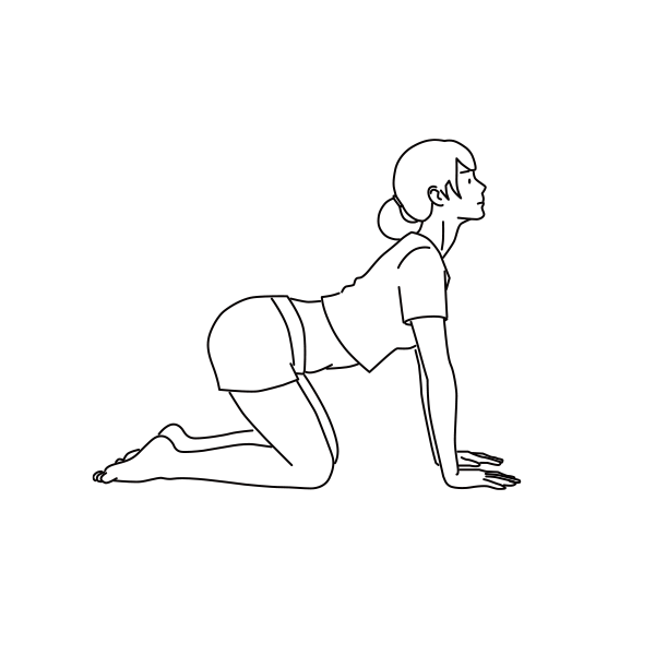 Girl doing cat exercise